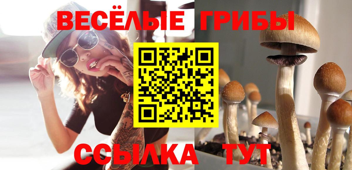 Курган  где купить   Вход с VPN  Псилоцибиновые грибы мухоморы 