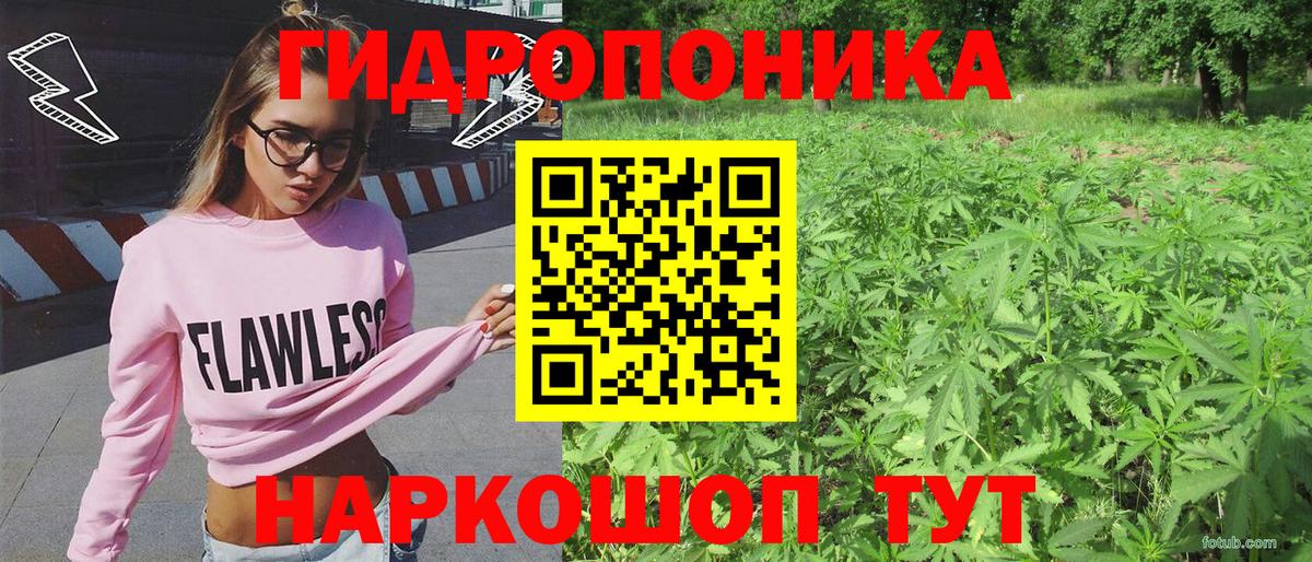 Каннабис индика  Марихуана конопля  Курган  Конопля THC 21%  Вход с VPN 